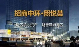 番禺楼盘爆料事件视频,揭露背后的真相与争议