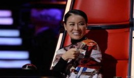 那英最新爆料视频,独家爆料背后的故事与感悟