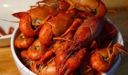 龙虾在线观看,一场味蕾与视觉的盛宴